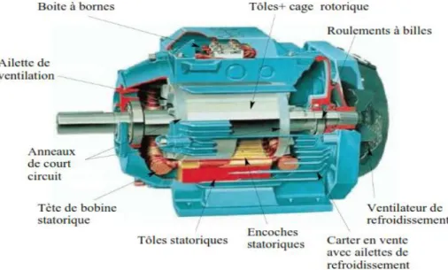 Fig. I.1: Eléments de constitution d'une machine asynchrone à cage d'écureuil. 