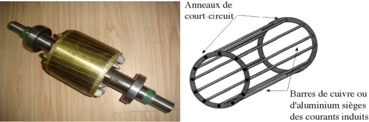 Fig. I.3: Représentation du rotor à cage. 