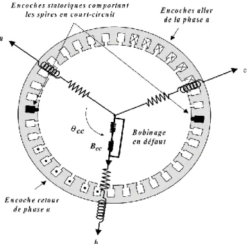 Fig. II.1: Court-circuit de spires sur la phase b du stator. 