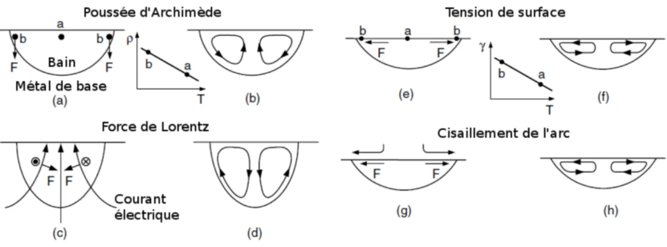 Figure 1.3 – Sch´ ema des diff´ erentes forces agissant sur le bain ainsi que les ´ ecoulements cr´ e´ es par celles-ci [1].
