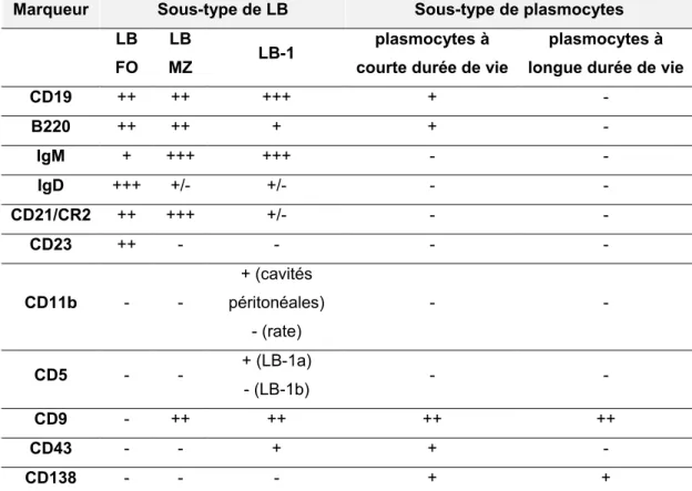 Tableau  III.  Marqueurs  phénotypiques  des  différents  sous-types  de  LB  naïfs  et  de  plasmocytes chez la souris 