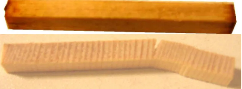 Figure 5 : haut : pénétration du couplant dans une éprouvette d’épicéa en direction longitudinale ;   bas : rupture d’une éprouvette d’épicéa en direction quasi radiale, pour un serrage comparable à celui 