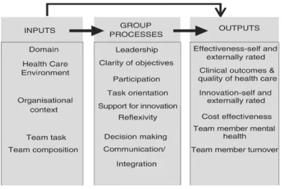 Figure 4: Input, process and output model of team effectiveness 