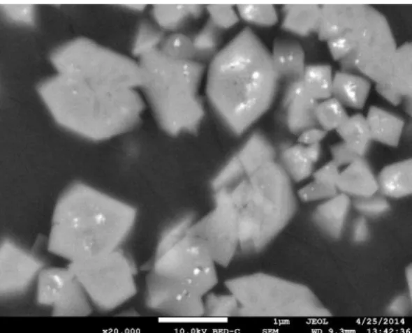 Figure 2. Fondant opalin verdâtre, image MEB sur coupe  polie, électrons rétrodiffusés, champ imagé : 12 × 9 µm