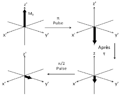 Figure 2.9.  Schéma de la séquence d’inversion-récupération appliquée pour déterminer T 1 