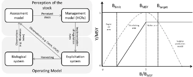 Figure 1: Conceptual framework of Management strategy evaluation (MSE) (adapted from Kell et al
