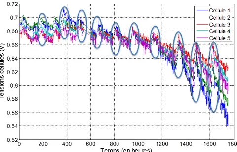 Figure 2-14 : Evolution des tensions cellules d’une PEMFC durant 1750 heures de fonctionnement 