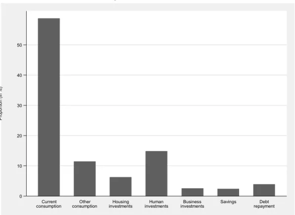 Figure   1.   Use   of   remittances   