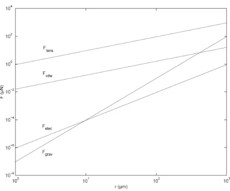 Fig. 1.8 – Evolution des forces en fonction du rayon de la sph` ere [2]