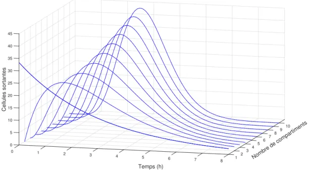 Figure 1.6. La concaténation de compartiments dont les durées de passage sont distribuées selon une loi exponentielle négative produit une durée de passage totale distribuée selon une loi gamma