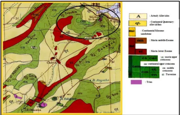 Figure 4: Géologie de la région d'étude à partir de l'extrait de la carte  géologique de l'Algérie (1/500 000) 