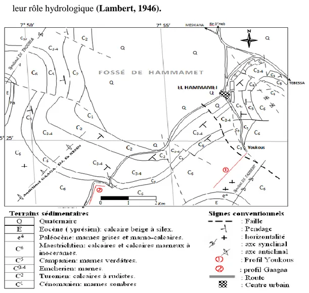 Figure 6: Esquisse géologique des environs de Hammamet et position des profils de  Youkous et Gaagaa d'après (W.M