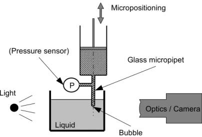 Figure 4.3.1: Schematic representation of the first experimental setup for the validation of the volume controlled bubble generation model