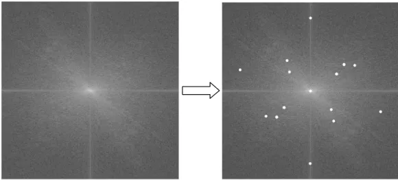 Figure 5. Interest points found by SURF in Fourier domain 