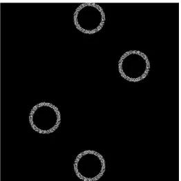 Figure 11. Final image wm with central symmetric watermarks 