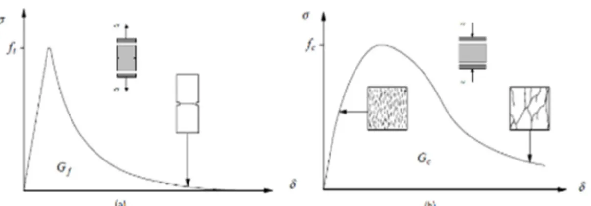 Fig. I. 1. 6 : les diagrammes typiques contrainte-déformation pour les matériaux quasi- quasi-fragiles d’après [14]– (a) en compression –(b) en traction.