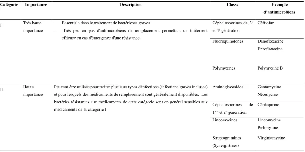 Tableau IV. Catégorisation des antimicrobiens selon leur importance en santé humaine en tenant compte de leur indication en  production bovine au Canada (adapté de (130, 133)) 