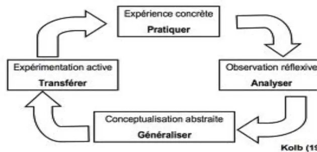 Figure 1 Modèle cyclique de l’éducation expérientielle de Kolb (1984) 