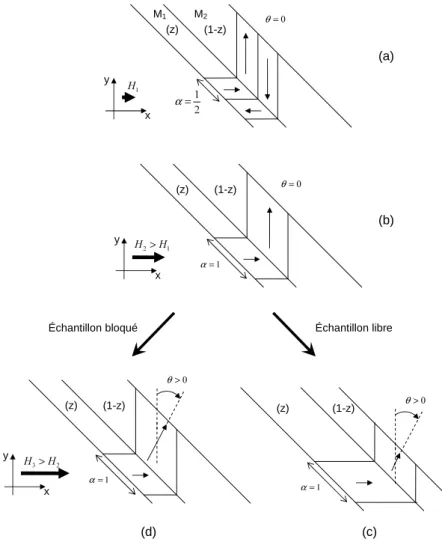 Fig. 2.5 – ´ Evolution du Volume ´ el´ ementaire repr´ esentatif lorsqu’il est soumis ` a un champ magn´ etique.