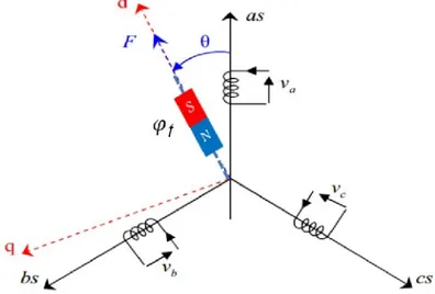 Figure I.5:Schéma de la machine synchrone à aimants permanents dans l’espace électrique 