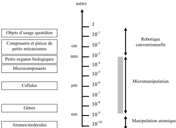Fig. 1. 3 : Echelle des dimensions des objets concernés par la micromanipulation 