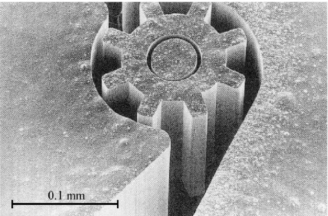 Fig. 2. 25 : Micro-engrenage réalisé en technologie LIGA 