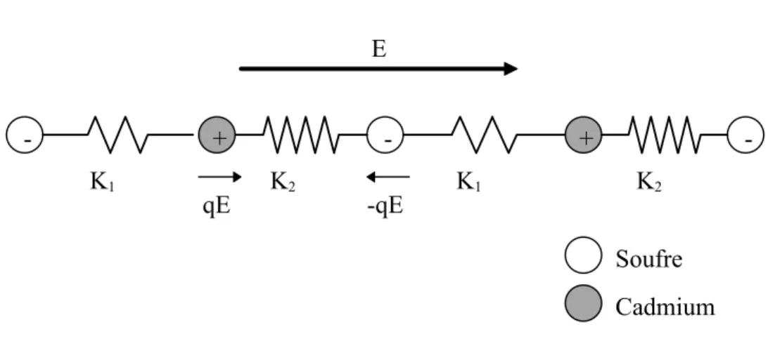 Fig. 3. 2 : Effet piézoélectrique inverse dans un cristal de sulfure de cadmium 