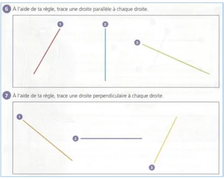 Figure 8: Exercices, Caméléon, A, (2014), p. 56 