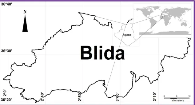Figure 9.Présentation de la région de Blida(MapInfo-Pro, 2019)  2.5.2.Origanumvulgare(Linné, 1753) 