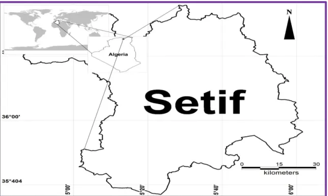Figure 11.Présentation de la région de Sétif(MapInfo-Pro, 2019)  2.6. Présentation des huiles essentielles 