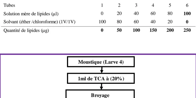 Tableau  4.Dosage  des  lipides  totaux  chez  les  larves  de  moustiques:  réalisation  de  la  gamme  d'étalonnage
