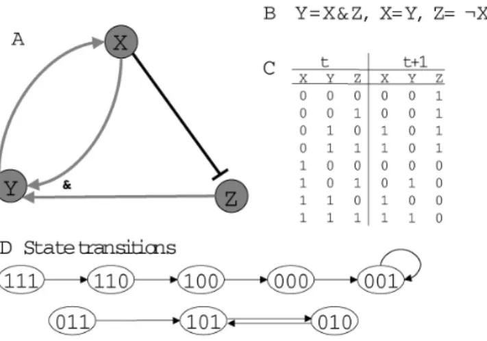 Figure 2.1: Four ways of representing biological topology: A. regulatory network, B. Boolean functions, C