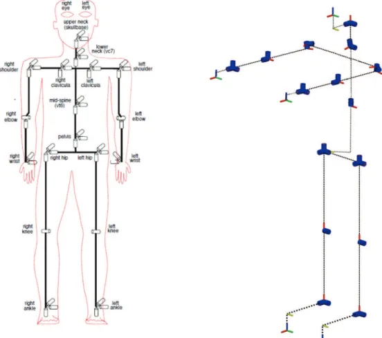 Figure 3.3: a) Kinematic model of Master Motor Map (Azad et al., 2007); b) Kinematic model of the robot ROMEO.