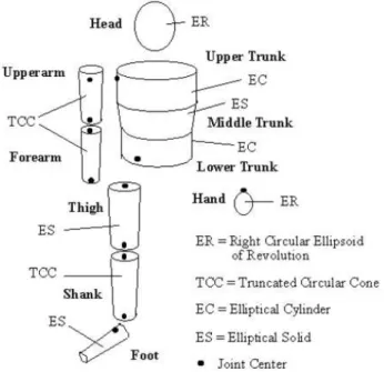 Figure 3.6: Human body segmentation according to the modified Hanavan notation.