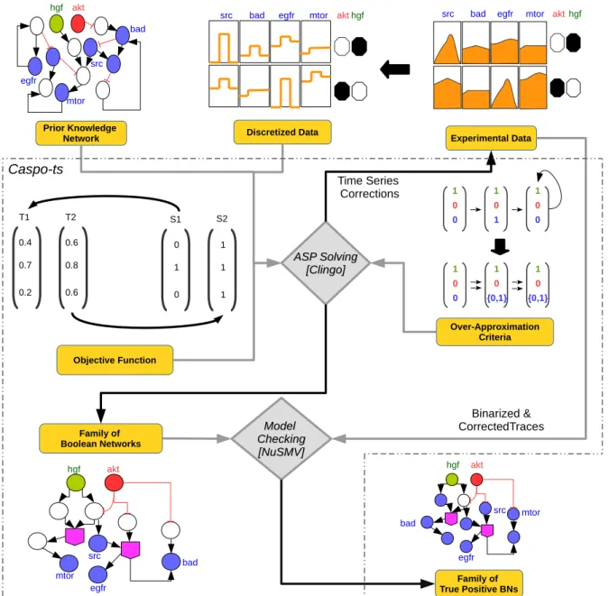 Figure 4.1 – Caspo-ts workflow. Caspo-ts receives as input data a prior knowledge network (PKN) and a discretized phosphoproteomic dataset