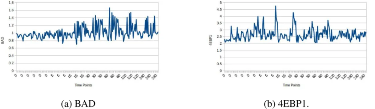 Figure 4.4 – Protein values over time. Here, the x-axis represents the time points and the y-axis represents the protein measurements.