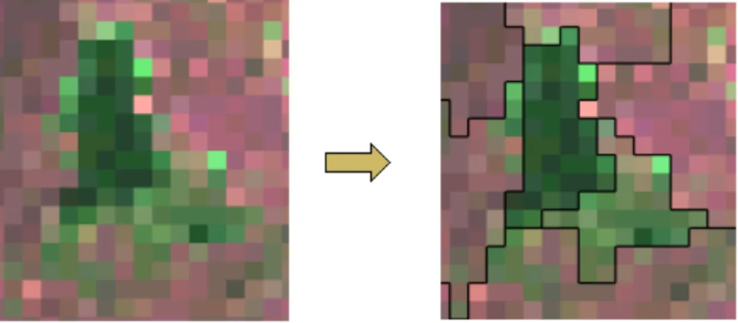 Figure 8  : Passage des pixels aux éléments végétaux par regroupement de pixels pour reconstituer des objets