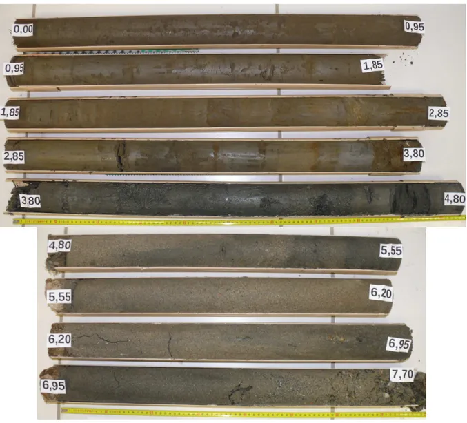 Figure 3-1 :  Photos de neuf échantillons carottés recueillis au moyen d'un carottier à piston  stationnaire (CPS)