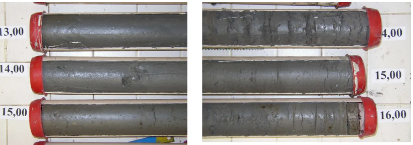 Figure 3-4 :  Photos des extrémités de trois échantillons prélevés au carottier à piston  stationnaire