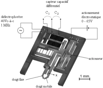 Fig. 2.  Système à identifier 