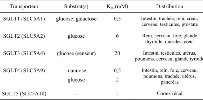 Tableau 1.II Propriétés de transport des SGLT dans le corps humain (Tiré de (Wright et al.,  2011))