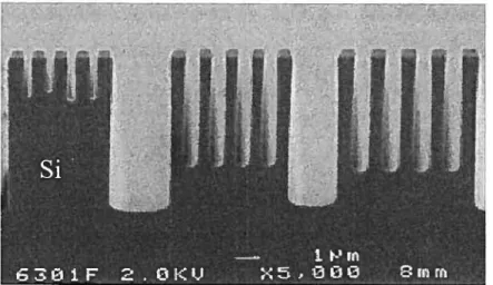 Figure 1.9: Exemple de ARDEpotir la gravure du Si dans un plasma de SF/O2. (D ‘après [23])