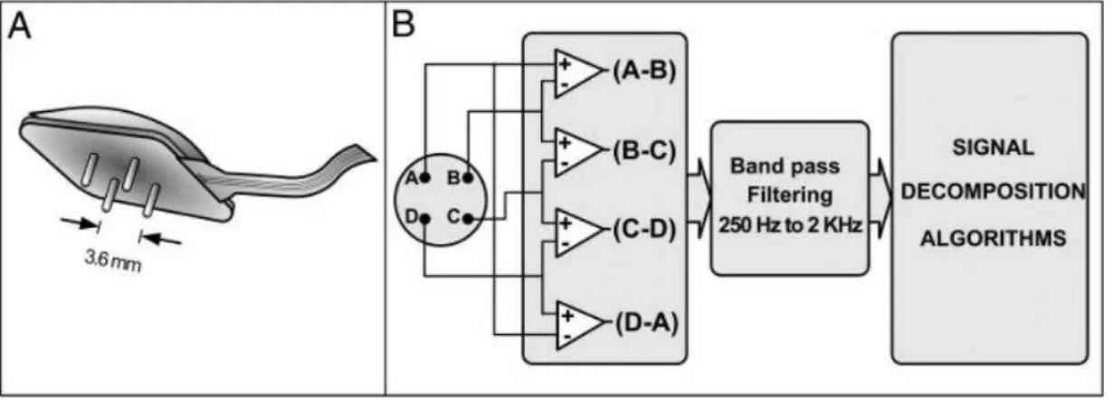 Figure 2.9 – A: The quadrifilar needle sensor with larger dimensions containing the 4 pins that detect the sEMG signals