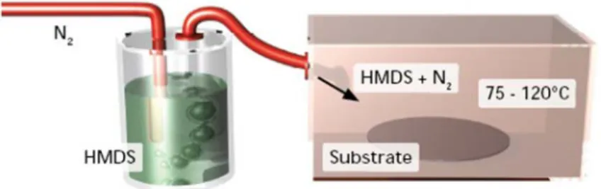 Fig. 3 : La solution d’HMDS est appliquée sur les substrats chauds en phase gazeuse via un bulleur.