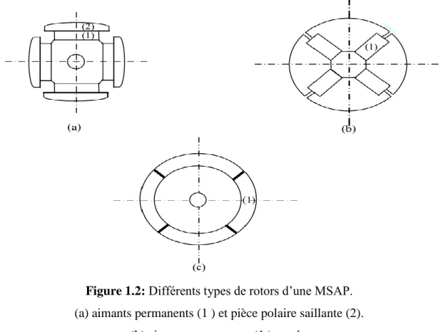 Figure 1.2: Différents types de rotors d’une MSAP. 
