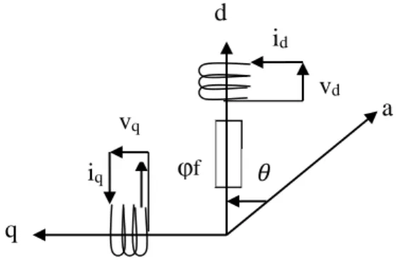 Figure 1.4: MSAP dans le repère de Park. 