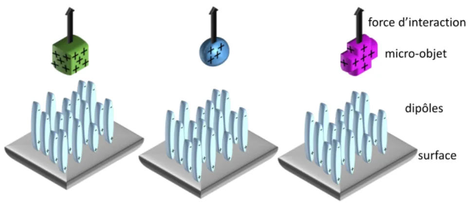 Figure 3.1: Schéma de l’interaction entre diﬀérents micro-objets et une surface en milieu liquide.