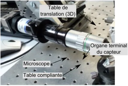 Table complianteMicroscope Table de  translation (3D) Organe terminal du capteur