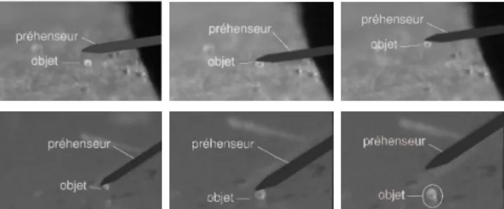 Fig. 2. Manipulation (a-c) par saisie adh´esive et d´epose (d-f) statique (ISIR)