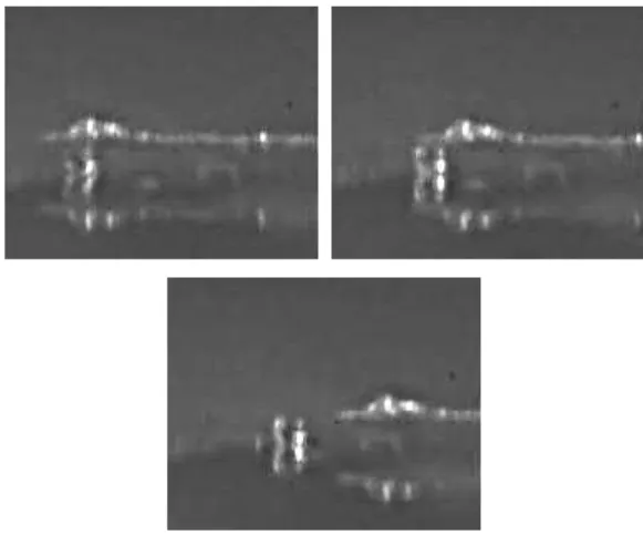 Fig. 5. Manipulation du pi`ece en silicium `a l’aide d’un micropr´ehenseur immerg´e `a glace (LAB)